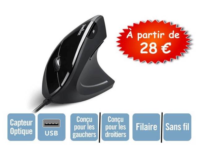 SOURIS ERGONOMIQUE