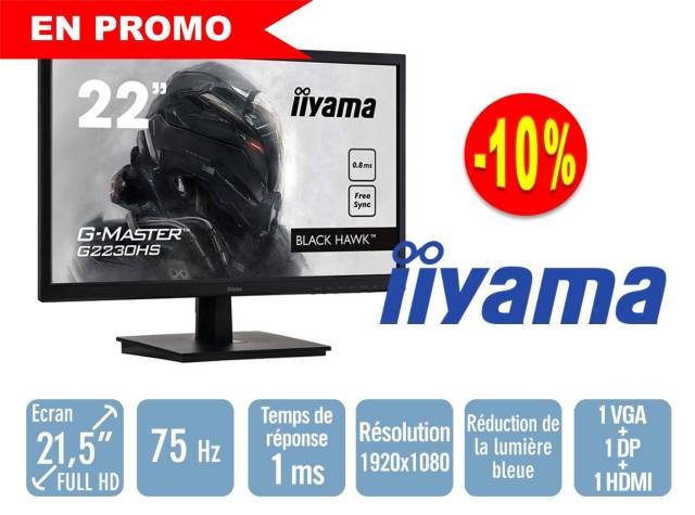 cran IIYAMA G-Master G2230HS